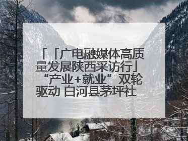「广电融媒体高质量发展陕西采访行」“产业+就业”双轮驱动 白河县茅坪社区打造易地搬迁后扶新样本